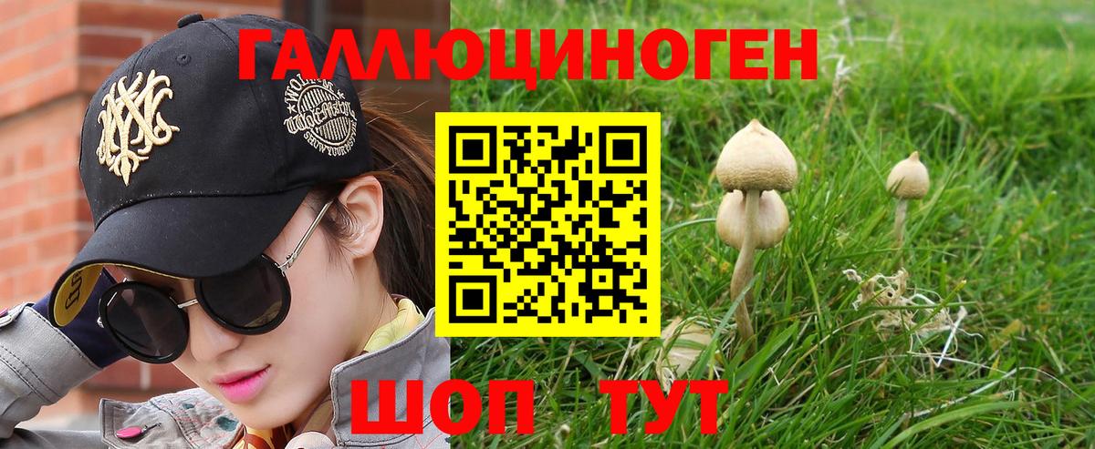 Галлюциногенные грибы GOLDEN TEACHER Грязи